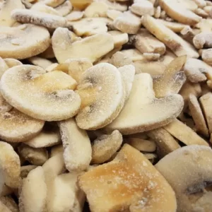 CHAMPIGNON X750GR PAMPA GREENS